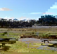 Pelican Point Sanctuary - Kawana Tourism