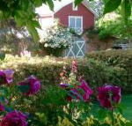 A Country Barn Retreat - Kawana Tourism