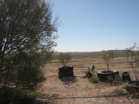 Venushill B+B - Kawana Tourism 6