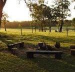 Wallaby Cottage cute Accom in bushland setting - Kawana Tourism