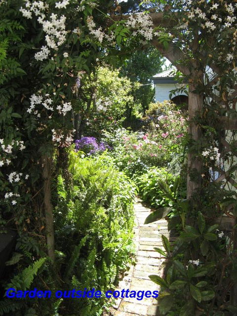 The Grove Cottages - Kawana Tourism 3