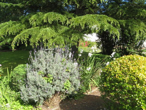 The Grove Cottages - Kawana Tourism 7