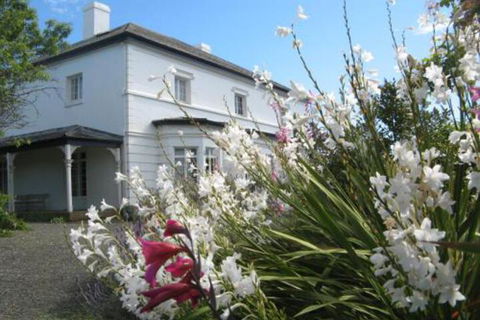 The Grove Cottages - Kawana Tourism 0