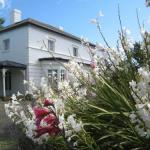The Grove Cottages - Kawana Tourism 1