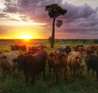Myella Farm Stay - Kawana Tourism