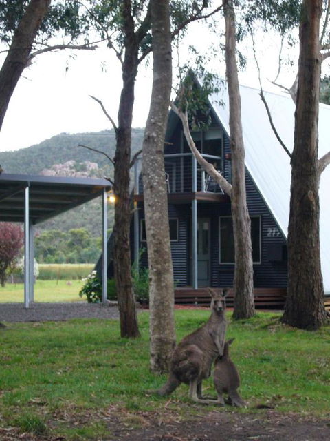 The A Frame - Kawana Tourism 6