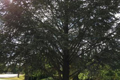 The Glasshouse Boutique Accommodation - Kawana Tourism 5