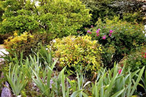 The Glasshouse Boutique Accommodation - Kawana Tourism 6