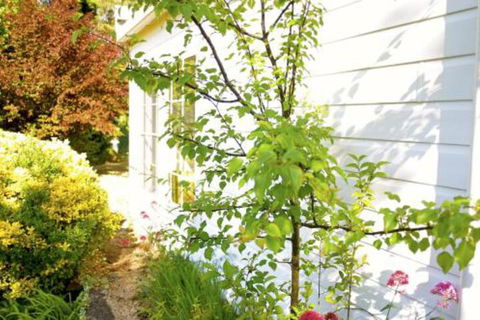 The Glasshouse Boutique Accommodation - Kawana Tourism 4