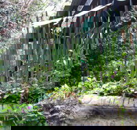 Lemonade Creek Cottages - Kawana Tourism