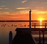 Bayview Boathouse - Kawana Tourism