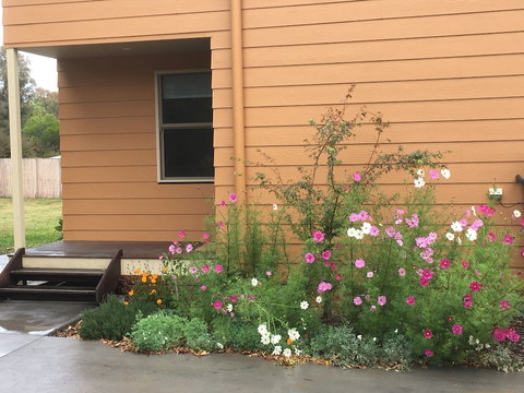 The Nest At Gundaroo - Kawana Tourism 0