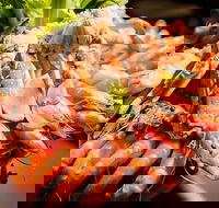 Table 30 - Kawana Tourism