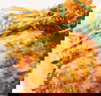 The Water Rat Hotel - Kawana Tourism