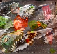 Toshi's Japanese Restaurant - Kawana Tourism