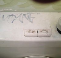 Bonsai Bali - Kawana Tourism