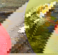 Tarnuk Room  Boon Wurrung Cafe - Kawana Tourism