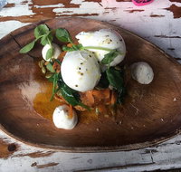 Samson  Sophie Cafe - Kawana Tourism