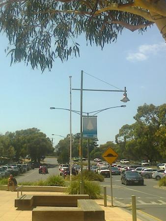 Anglesea Fish Shop - Kawana Tourism 0