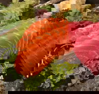 Sushi Dining Den - Kawana Tourism