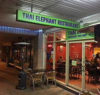 Thai Elephant - Kawana Tourism
