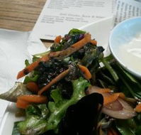 Sandbar Cafe and Bar - Kawana Tourism