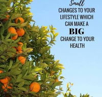 Nelson Bay Health Foods - Kawana Tourism