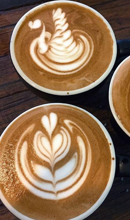 Cafe In Tokyo - Kawana Tourism 4