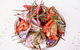 Gurus Master Of Indian Cuisine - thumb 11