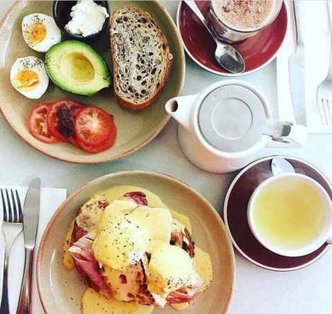 Uliveto - Kawana Tourism 5