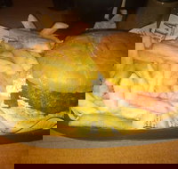 Finn  Co Cafe - Kawana Tourism