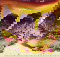 The Box Factory - Kawana Tourism