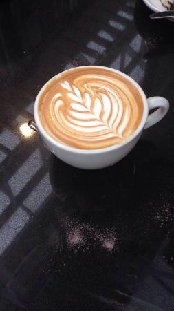 Charlestown NSW Kawana Tourism