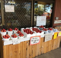 The Pines Orchard - Kawana Tourism