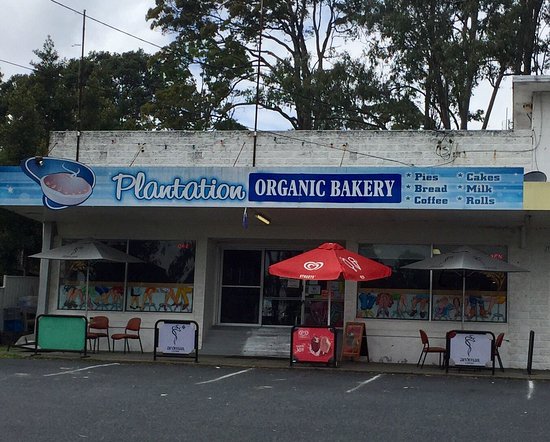 Tyndale NSW Kawana Tourism