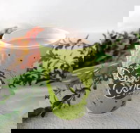 Bean Code - Kawana Tourism