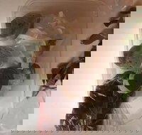 Dai Nam Cafe  Restaurant - Kawana Tourism