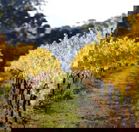 Prickly Moses Brewery - Kawana Tourism