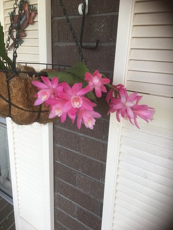 Tingha NSW Kawana Tourism