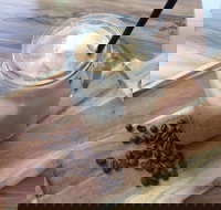 Allure Cafe  Co - Kawana Tourism