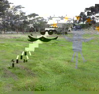 Heard it on the Grapevine - Kawana Tourism