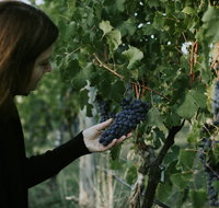 Rowlee Vine To Table Experience