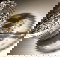 T Totaler - Newtown - Kawana Tourism