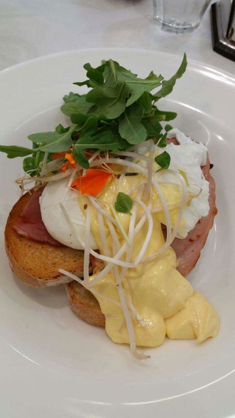 Vida Espresso - Kawana Tourism 0