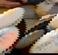 Big Bun - Kawana Tourism