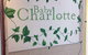 Charlotte - thumb 0