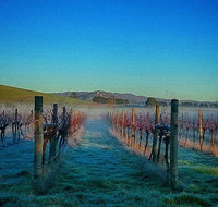 Eastern Peake Winery - Kawana Tourism