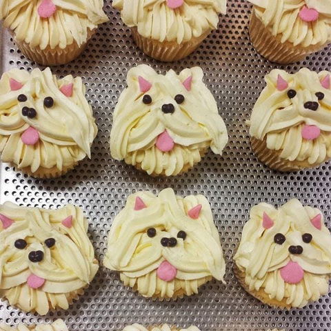 Cupcake Central - Maribyrnong - Kawana Tourism 0