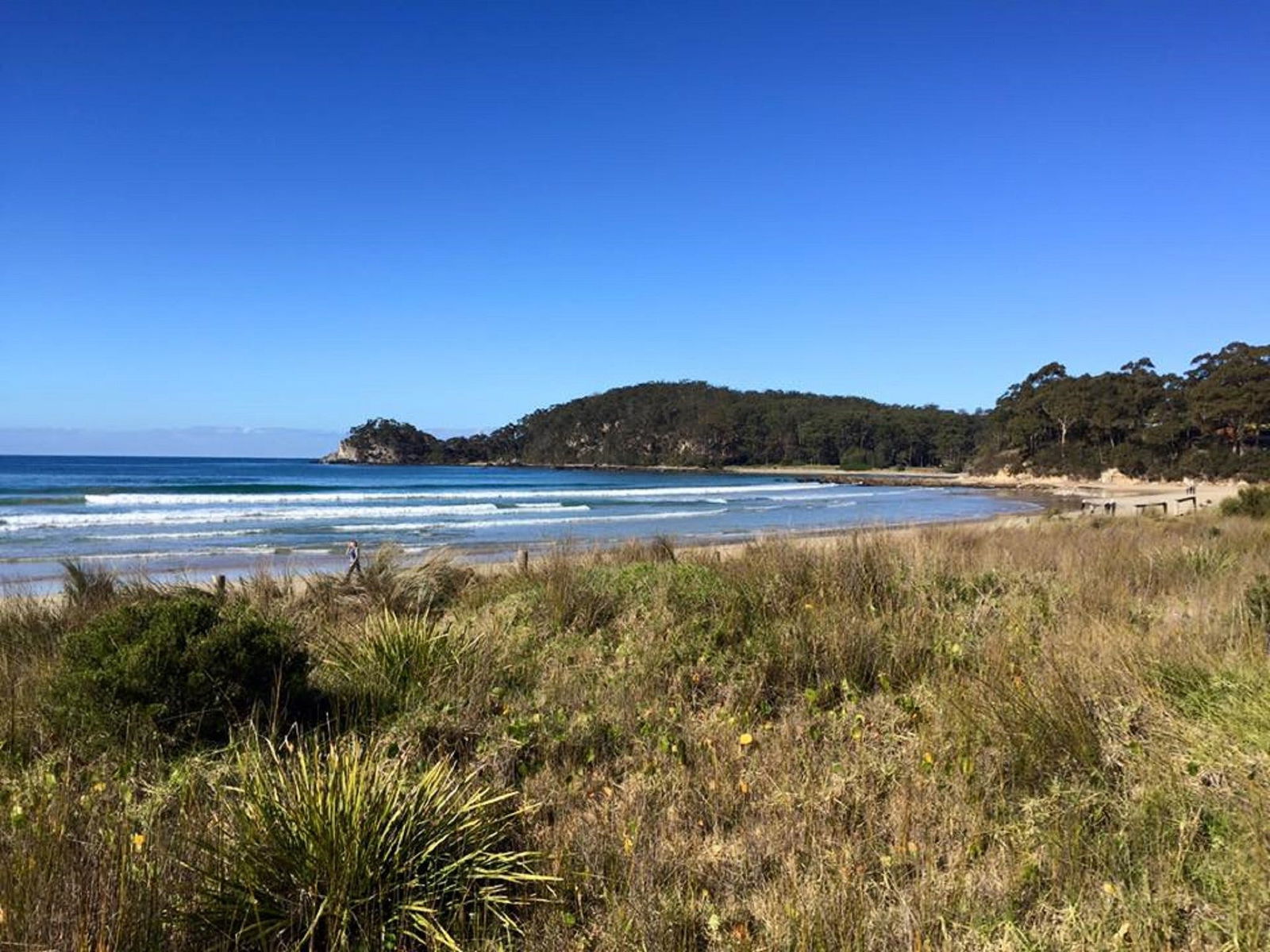 Surf Beach NSW Kawana Tourism