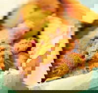 Mrs. Fields - Cockburn Gateway - Success - Kawana Tourism